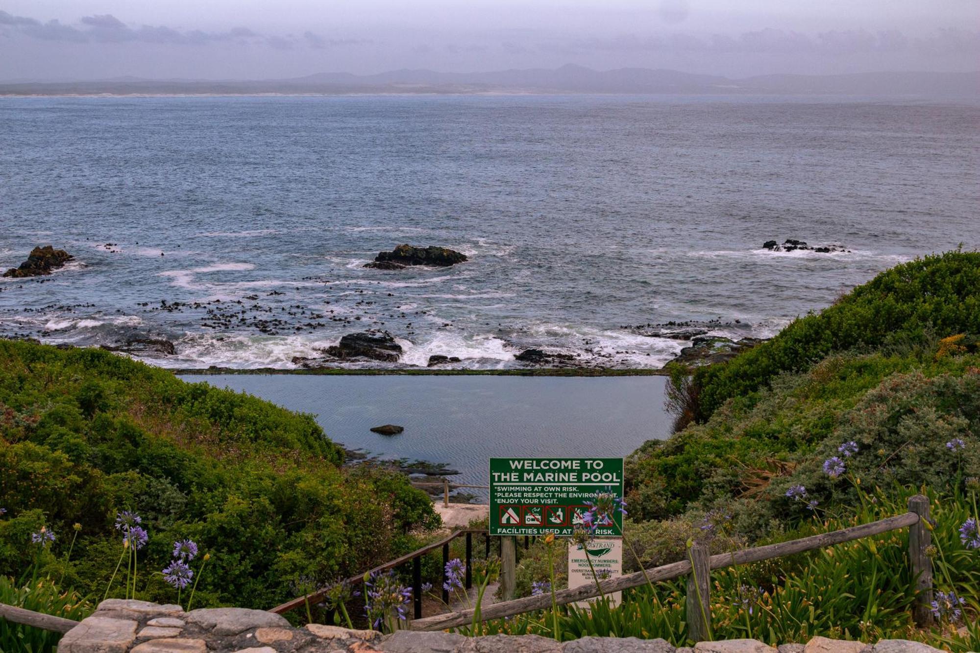 Goozi Garden Cottage Hermanus Kültér fotó