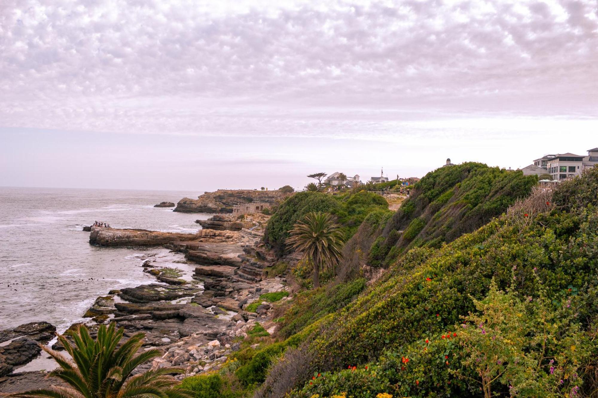 Goozi Garden Cottage Hermanus Kültér fotó